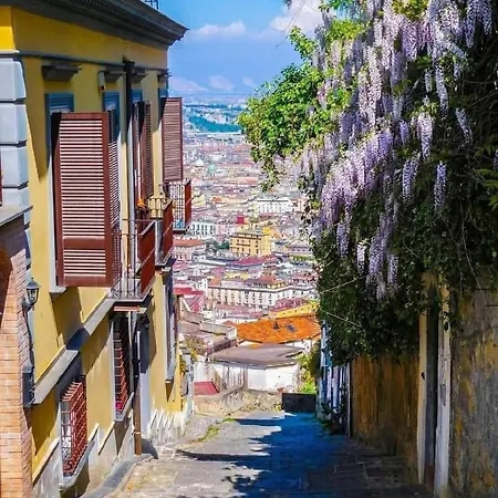 Le Petit Palais - 4*