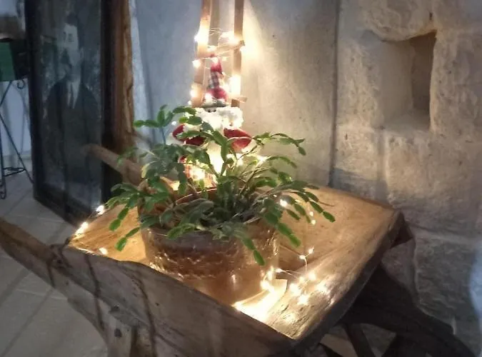 Le Petit Palais - ベッド・アンド・ブレックファスト ナポリ