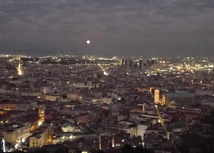 Le Petit Palais - 4*